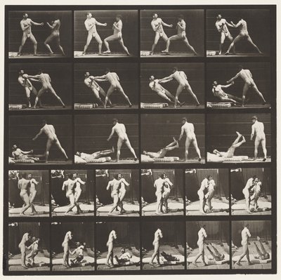 Tallrik 333. Boxning; 53 Knocking 52 Down (Skor) av Eadweard Muybridge