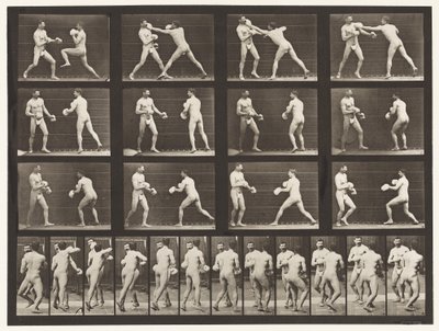 Tallrik 335. Boxning; Med handskar av Eadweard Muybridge