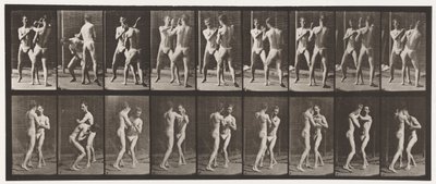 Tallrik 337. Boxning; Öppen hand av Eadweard Muybridge