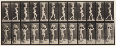 Plåt 33. Gå, 14-lb. Korg på huvudet, händerna höjda, 1872-1885 av Eadweard Muybridge