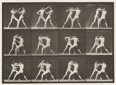 Tallrik 340. Boxning; Öppen hand av Eadweard Muybridge