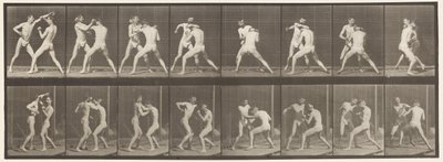 Tallrik 342. Boxning; Öppen hand, 1872-1885 av Eadweard Muybridge