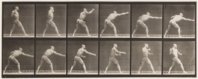 Plåt 344. Slå ett slag (höger hand) av Eadweard Muybridge