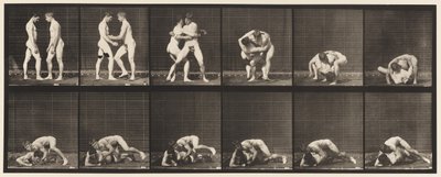 Plåt 345. Wrestling, Lock, 1885 av Eadweard Muybridge