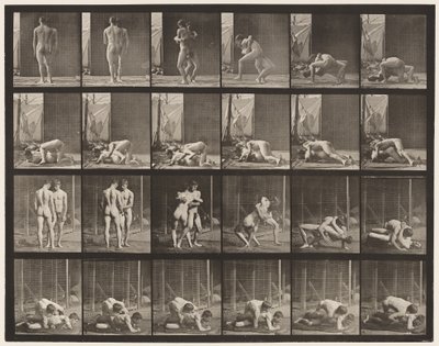 Plåt 346. Brottning, Lås av Eadweard Muybridge