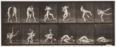 Plåt 347. Wrestling, grekisk-romersk, 1885 av Eadweard Muybridge