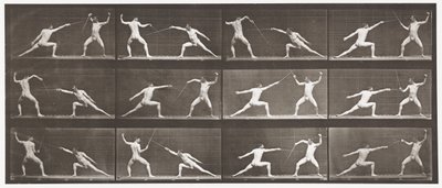 Plåt 349. Fäktning, 1872-1885 av Eadweard Muybridge