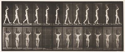Tavla 34. Går av Eadweard Muybridge