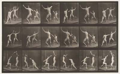 Plåt 350. Fäktning av Eadweard Muybridge