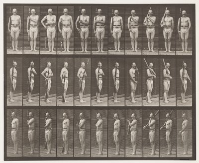 Plåt 352. Axel-, ordnings- och bärarmar av Eadweard Muybridge