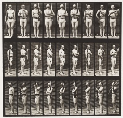 Plåt 353. Stödvapen och vapenport, 1872-1885 av Eadweard Muybridge
