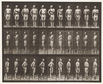 Skylt 354. Bärarmar, paradvila och ledarmar av Eadweard Muybridge