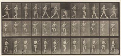 Plåt 359. Laddbajonett, 1872-1885 av Eadweard Muybridge