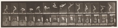 Plåt 362. Ryggvolta av Eadweard Muybridge