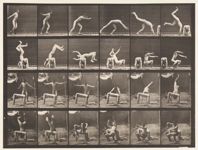 Tavla 364. Handfjäder över mannens rygg av Eadweard Muybridge