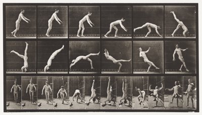 Plåt 365. Headspring, En flygande duva som stör av Eadweard Muybridge