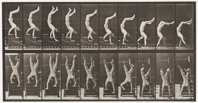 Tavla 368. Akrobat, fallande trappor på händer av Eadweard Muybridge