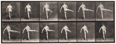 Tallrik 369. Första balettaktionen av Eadweard Muybridge