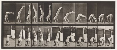 Plåt 371. Acrobat, vertikalt tryck upp av Eadweard Muybridge