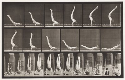Plåt 372. Akrobat, horisontellt tryck upp av Eadweard Muybridge