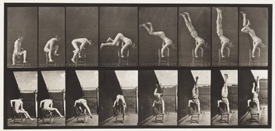 Plåt 373. Akrobat, tryck upp från stolen av Eadweard Muybridge