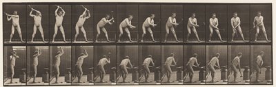 Plåt 376. Smed, hamra på städet, två händer, 1872-1885 av Eadweard Muybridge