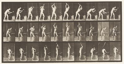 Tavla 378. Smed, hamra på städet, två händer av Eadweard Muybridge