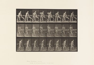 Plåt 380. Snickare, Sågning, 1872-1885 av Eadweard Muybridge