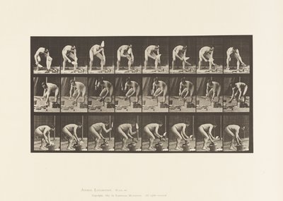 Tavla 381. Murare, lägga en tegelsten av Eadweard Muybridge
