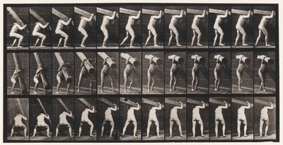 Plåt 383. Lyfta en stock på axeln av Eadweard Muybridge