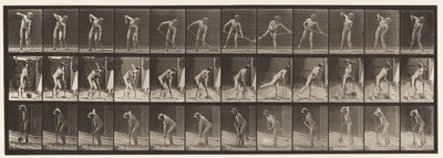 Tallrik 387. Bonde, med långskaftad spade av Eadweard Muybridge