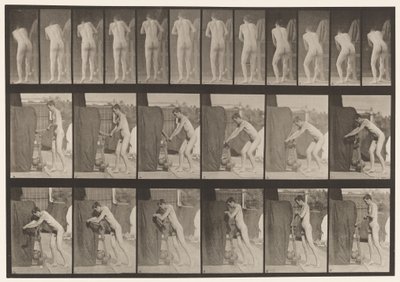 Plåt 394. Vridning av ett vev av Eadweard Muybridge