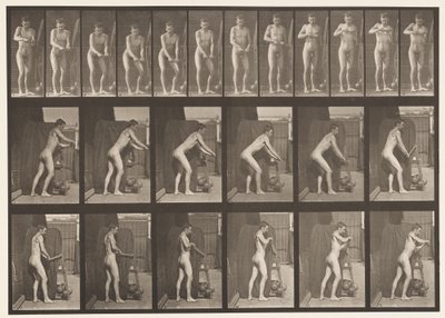 Plåt 395. Vridning av ett vev av Eadweard Muybridge