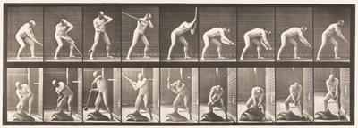 Tallrik 396. Dunkande med en klubba av Eadweard Muybridge