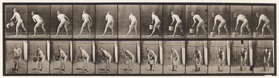 Plåt 398. Lyfta en hink vatten till tom, 1872-1885 av Eadweard Muybridge