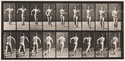Plåt 3. Gå av Eadweard Muybridge