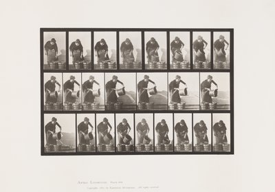 Tallrik 403. Tömningshink med vatten av Eadweard Muybridge