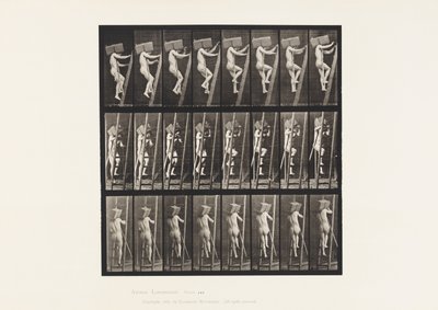 Plåt 405. Bärande hand av tegelstenar uppför en stege, 1872-1885 av Eadweard Muybridge