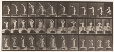Tallrik 409. Häll vattenbassäng över huvudet av Eadweard Muybridge