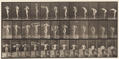 Tallrik 414. Torkkropp med handduk av Eadweard Muybridge
