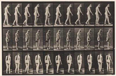 Tallrik 42. Går, häller vatten från Pitcher av Eadweard Muybridge