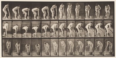 Tallrik 433. Vridande kläder av Eadweard Muybridge