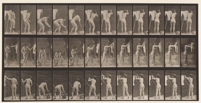 Plåt 434. Hängande kläder på rad, 1872-1885 av Eadweard Muybridge