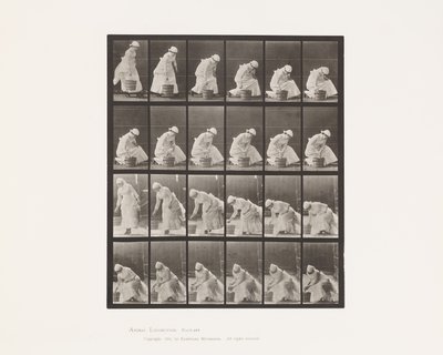 Plåt 438. Att sätta ner hinken och förbereda för att skrubba, 1885 av Eadweard Muybridge