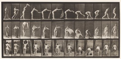 Tallrik 439. Sprider en matta på golvet, 1872-1885 av Eadweard Muybridge