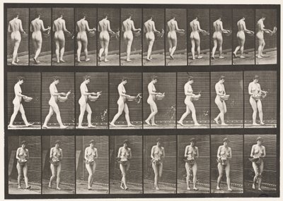 Tavla 43. Gå, stänk vatten från bassängen, vända sig om av Eadweard Muybridge