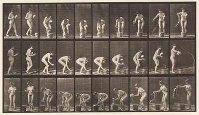 Tallrik 440. Böjande och sköljande tumlare av Eadweard Muybridge