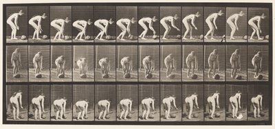 Tavla 442. Luta sig och rulla en sten på marken av Eadweard Muybridge
