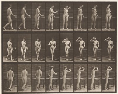 Tallrik 443. Dricker ur en bägare stående av Eadweard Muybridge