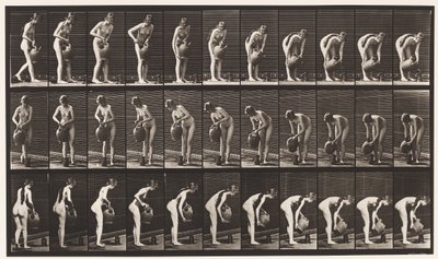 Tallrik 446. Påfyllning av kanna på marken från vattenburk av Eadweard Muybridge